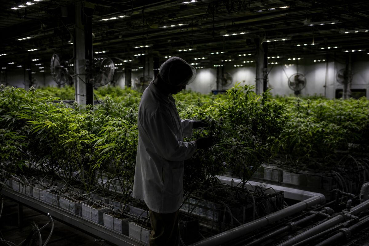 SNDL Inc. Expands U.S. Footprint with Acquisition of Parallel Assets: What It Means for Investors