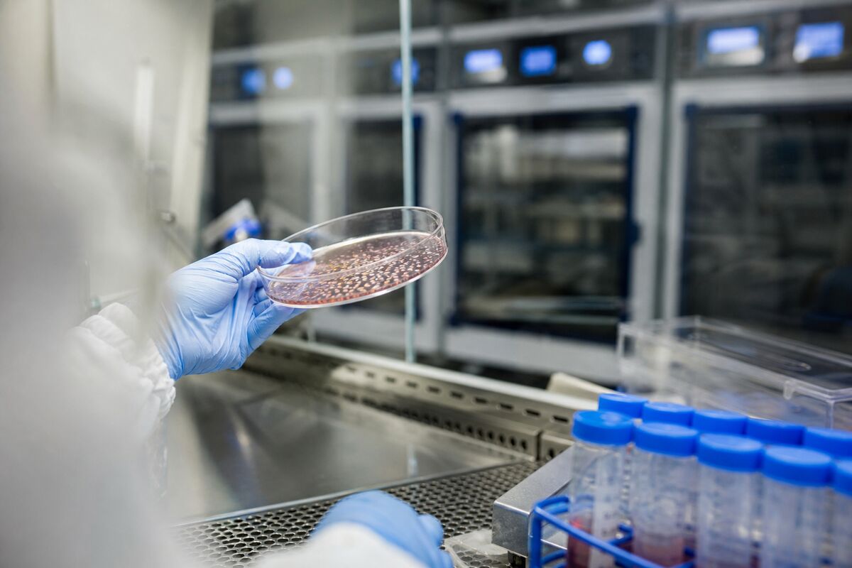Sernova and Seraxis Merge to Form BetaNova Biotherapeutics: A New Player in Type 1 Diabetes Treatment